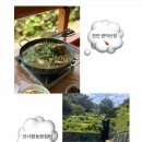 천안 광덕산 수영장 있는 계곡 광덕산장 / 산사람농원쉼터 주말 방문 후기