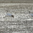 세어도 민박 이미지