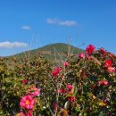 무진목장 이미지