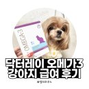 [내돈내산] 닥터레이 오메가3 강아지 급여 후기｜EPA DHA 함량·제품 특징 정리(레이앤이본)