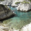 지구촌 수영장 이미지