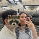 02헤어 | 🤍💍.02 MJ컨벤션 홀패키지 헤어 메이크업 후기