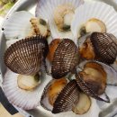 부산회집 이미지