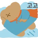 한성카 이미지