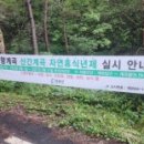 무릉도원면-31 이미지