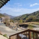 곡천티하우스