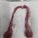 나루메디칼 이미지