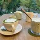 mosobamboo(모소밤부)