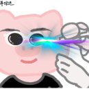 유성대학약국 | 대전 눈썹문신 제거 잘하는곳 내돈내산 1회차 남자 후기 : 가격 (광고x)