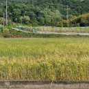 거제 머물다 풀빌라 펜션 이미지