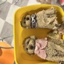 꼬리별펫케이크 이미지