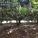 GB부동산공인중개사사무소 이미지