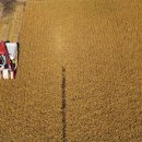 풍년수산 이미지