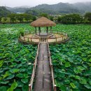 씨유 익산동산중앙점 | 지금 가면 좋은 부여 당진 여행 코스 추천 6곳, 백제 유적부터 자연 힐링 스팟까지