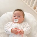 임실공구(임실시장 노점상) | 26주, 육아일기👶🏻