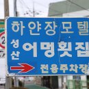하얀장모텔 | 제주 성산 맛집 어멍 잘계시우다!