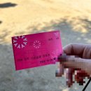 고읍도서관 화장실 | 양주 나리공원 천일홍 축제 후기+주차꿀팁 (10/3방문)