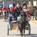 걸리버 아시아경제