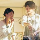 식물도감 이미지