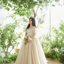 전보미 카카오 검색결과