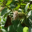 칠보중학교 이미지