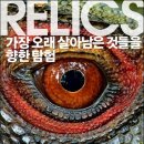 멕시코 탐방기 2부