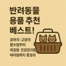 도그도기 | 반려동물 용품 추천 베스트! 강아지·고양이 필수템부터 계절별·건강관리용 아이템까지 총정리