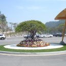 조아밸리골프장 이미지