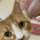 집사의 하루 건대점 이미지