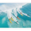 시화로2R 이미지