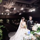스테이 레브 이미지