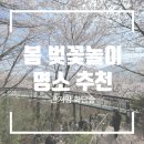 숲 | 4월 벚꽃 봄 화담숲 다녀온 후기, 모노레일 없이 도보 데이트 코스 추천