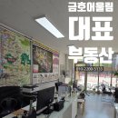 금호테라스공인중개사사무소 이미지