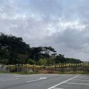 별미로스터스 네이버블로그