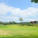 전남 화순 무등산CC 골프 라운딩 후기⛳리모델링 후 방문