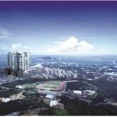 제주비스타케이월드컵 이미지