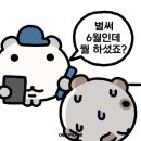 디델리 이미지