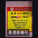 문경돈돼지