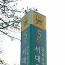 쌀쌀맞은닭 이미지