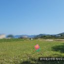 고성부동산중개사무소 이미지