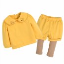 모이몰른 이미지