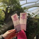 클라우드 짐 선유 | 휘잉🌀🌀 (벚꽃, LG시네빔, 요즘 그릭요거트, 상달프잼, 선유 더스테이트, 서울 식물원아이맥 m1 24인치)