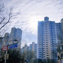 요기로공인중개사사무소 이미지