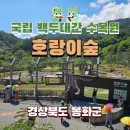 국립백두대간수목원 동물병원 | 한여름에 보고 온 봉화군 국립백두대간수목원 호랑이 관람 후기,위치,시간,유의사항