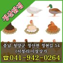 정산닭집
