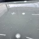 차사랑손세차장 이미지