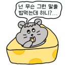 숙이네포차 이미지