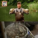 어죽이 이미지