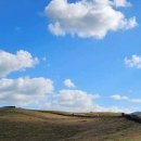 한우목장 이미지