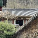 순천-45호 네이버블로그